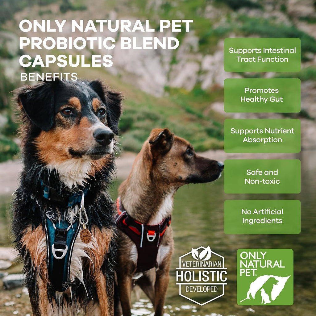 Only Natural Pet Probiótico para Perros y Gatos - 90 Cápsulas
