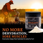 Alpha Dog Nutrition Electrolitos para Perros - Suplemento de Hidratación Formulado por Doctores con Sabor a Carne de Res para Caninos Activos - Polvo Versátil para la Recuperación de la Deshidratación y la Resistencia