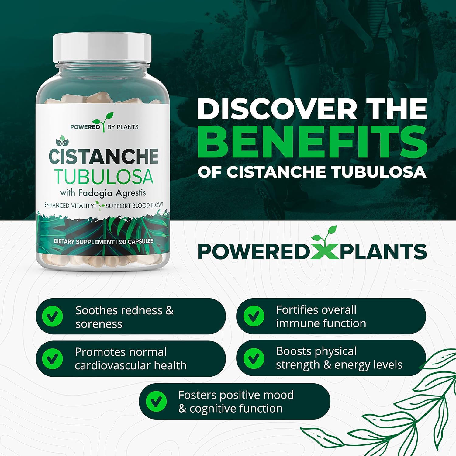 Cistanche Tubulosa con Fadogia Agrestis - Promueve la Vitalidad - Suplementos Naturales para Hombres y Mujeres con Bioperina de Powered X Plants, 90 Porciones
