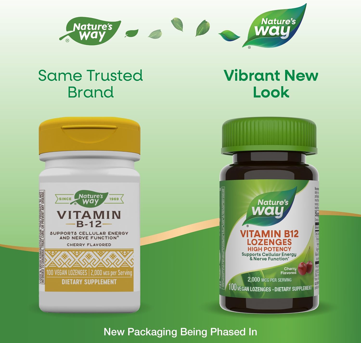 Nature's Way Vitamina B12 2000 mcg Comprimidos para Chupar, 100 Comprimidos (Envase de 2)