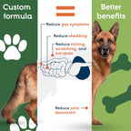 Pet Ultimates Probióticos para Perros - Polvo 137g (120 dosis)