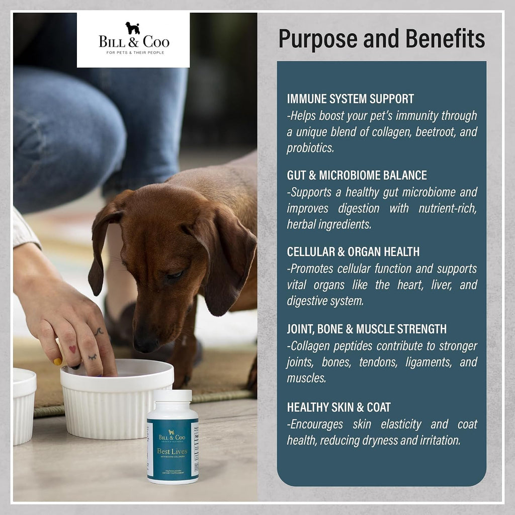BILL & COO Best Lives Suplemento de Fibra con Probióticos, Colágeno Bovino y Remolacha para Perros - 90g