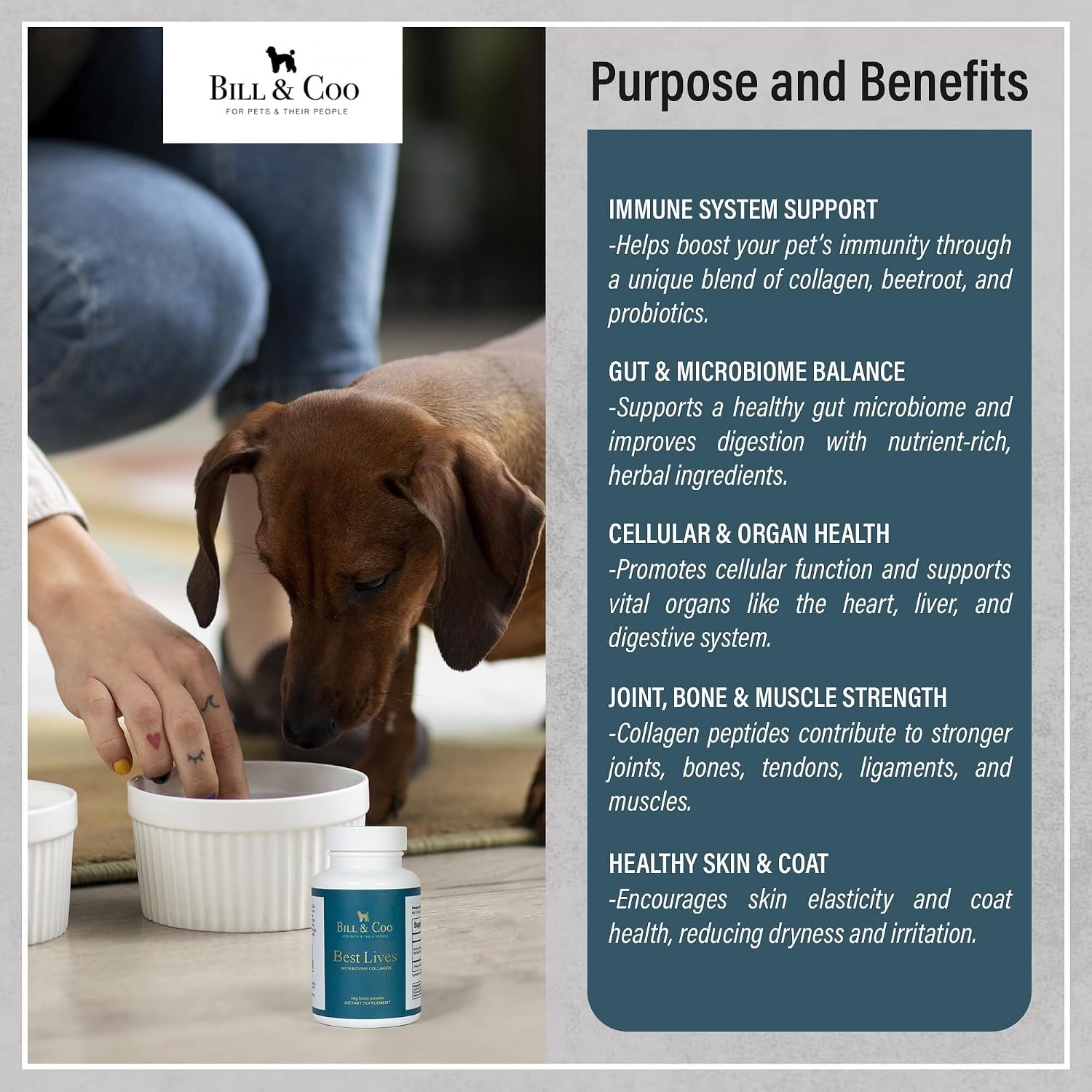 BILL & COO Best Lives Suplemento de Fibra con Probióticos, Colágeno Bovino y Remolacha para Perros - 90g