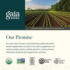 Gaia Herbs Postbiótico de Chucrut - Salud Digestiva e Inmune - 60 Cápsulas Veganas
