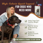 All American Canine Perro Weight Gainer Líquido – Suplemento de Altas Calorías para el Aumento de Peso, Masa y Recuperación – Estimulante del Apetito (473 ml)