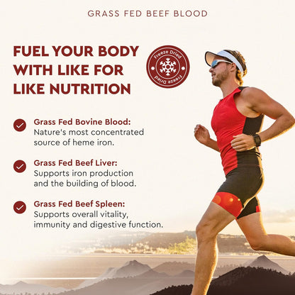Ancestral Supplements Grass Fed Blood - – El zinc y otros cofactores presentes ayudan a proteger las células – Image 4