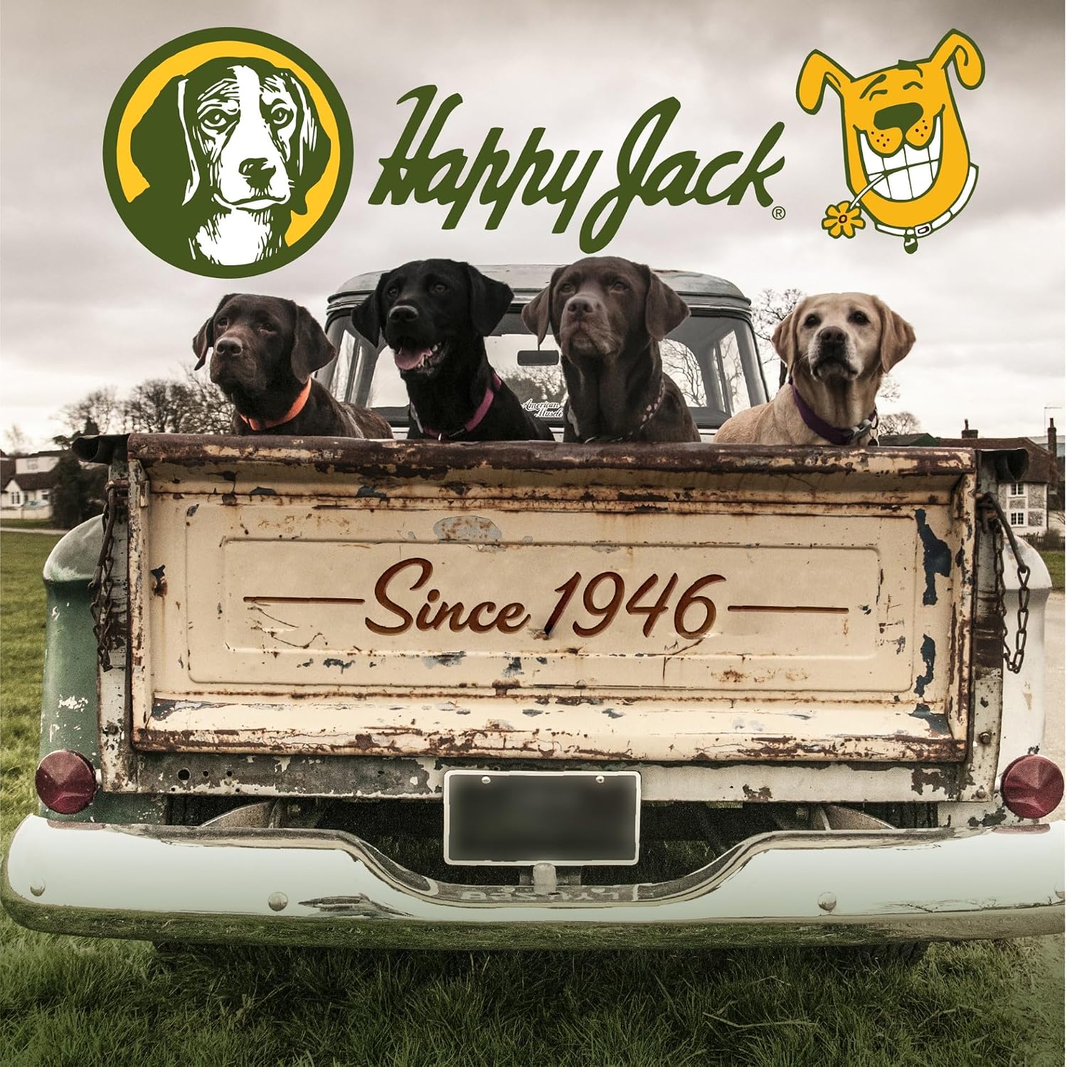 Aceite de Hígado de Bacalao para Perros, 473 ml