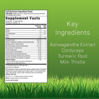 Irwin Naturals Extra Strength Ashwagandha Mind & Body Support – 60 Soft-Gels Líquidos