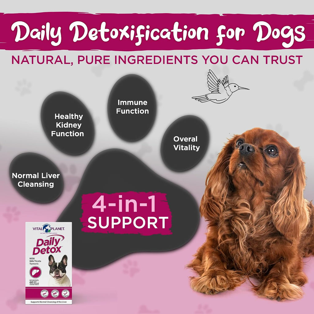 Vital Planet - Daily Detox para Perros con MSM, Cardo Mariano, Espirulina y Cúrcuma - Apoya el Sistema Inmunológico y la Limpieza Natural del Hígado - 60 Comprimidos Masticables Sabor Carne de Vacuno