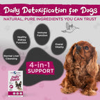Vital Planet - Daily Detox para Perros con MSM, Cardo Mariano, Espirulina y Cúrcuma - Apoya el Sistema Inmunológico y la Limpieza Natural del Hígado - 60 Comprimidos Masticables Sabor Carne de Vacuno