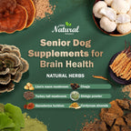 Suplemento para perros mayores: salud cerebral y apoyo nervioso con setas medicinales