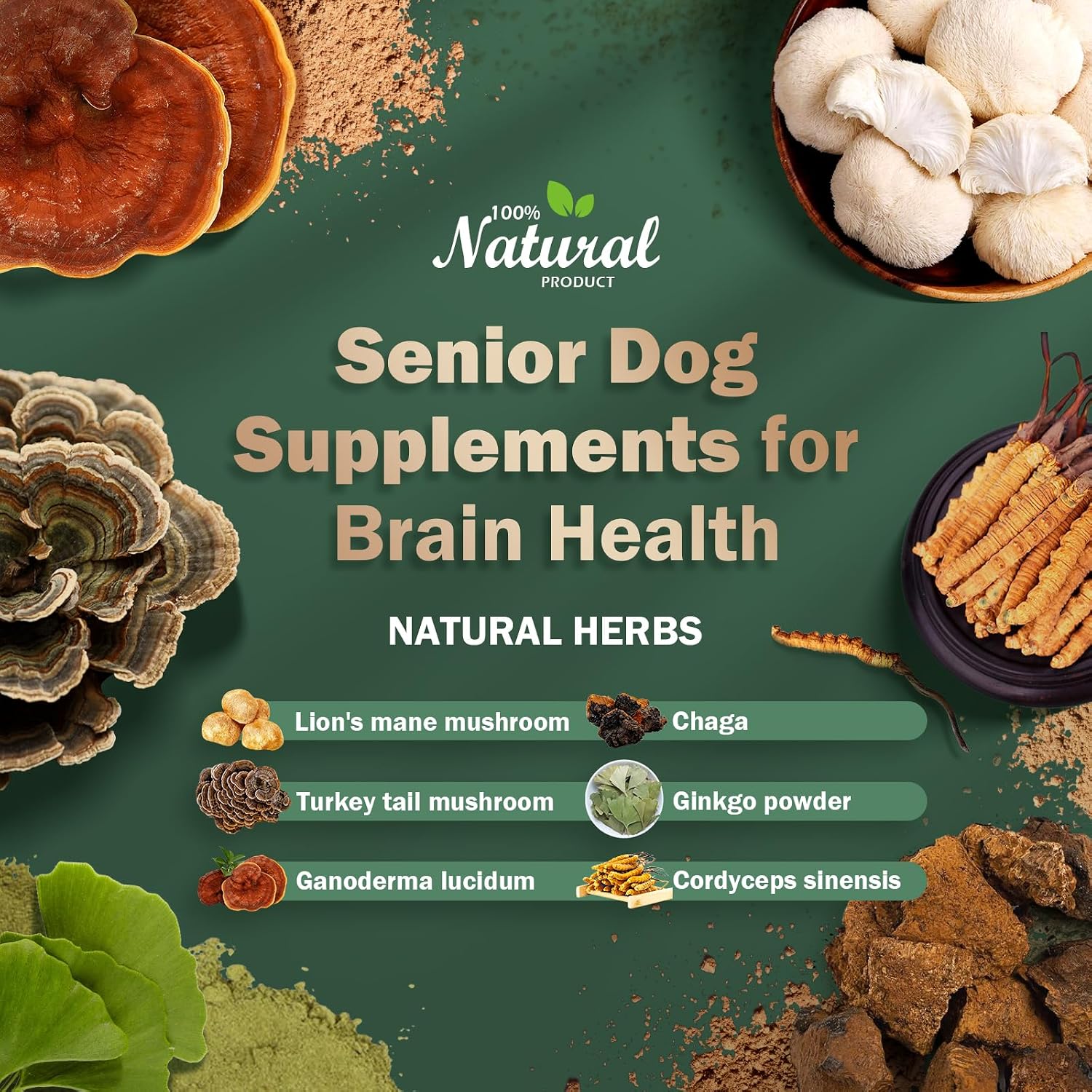Suplemento para perros mayores: salud cerebral y apoyo nervioso con setas medicinales