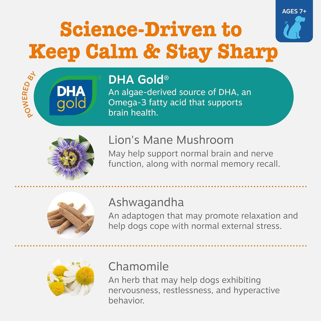 Zesty Paws Senior Advanced Calming & Cognition Soft Chews - Suplemento para perros con Ashwagandha y DHA