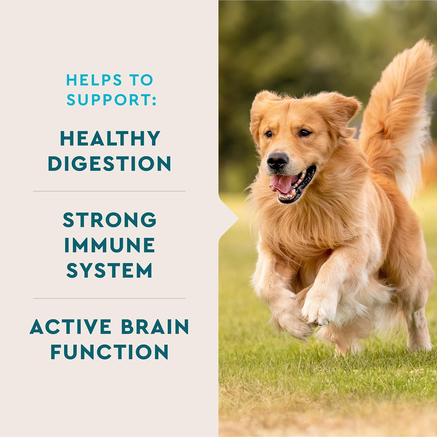 VetIQ Multivitamínico para Perros – Apoya la Función Cerebral, el Sistema Inmunológico y Digestivo – 60 Golosinas Blandas Sabor Ahumado