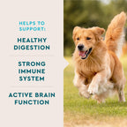 VetIQ Suplemento Multivitamínico para Perros, Sabor a Humo de Nogal, 60 Masticables