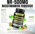 WELBUDA 5in1+ Nicotinamide Riboside Supplement with Resveratrol, Quercetin, Turmeric, Rhodiola Rosea - 90 Count for 90 Days