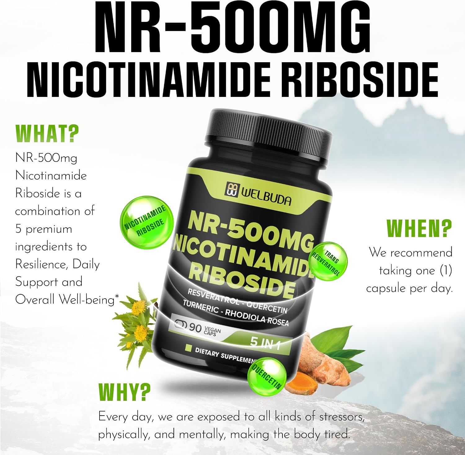 WELBUDA 5in1+ Nicotinamide Riboside Supplement with Resveratrol, Quercetin, Turmeric, Rhodiola Rosea - 90 Count for 90 Days