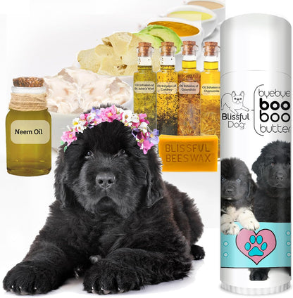 The Blissful Dog .50 oz Tube Newfoundland – Aceite de oliva – Image 2