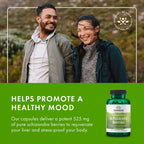 Swanson Full Spectrum Schizandra Berries - Suplemento Herbal para el Apoyo frente al Estrés y la Salud Hepática - 90 Cápsulas, 525mg cada una (Paquete de 4)