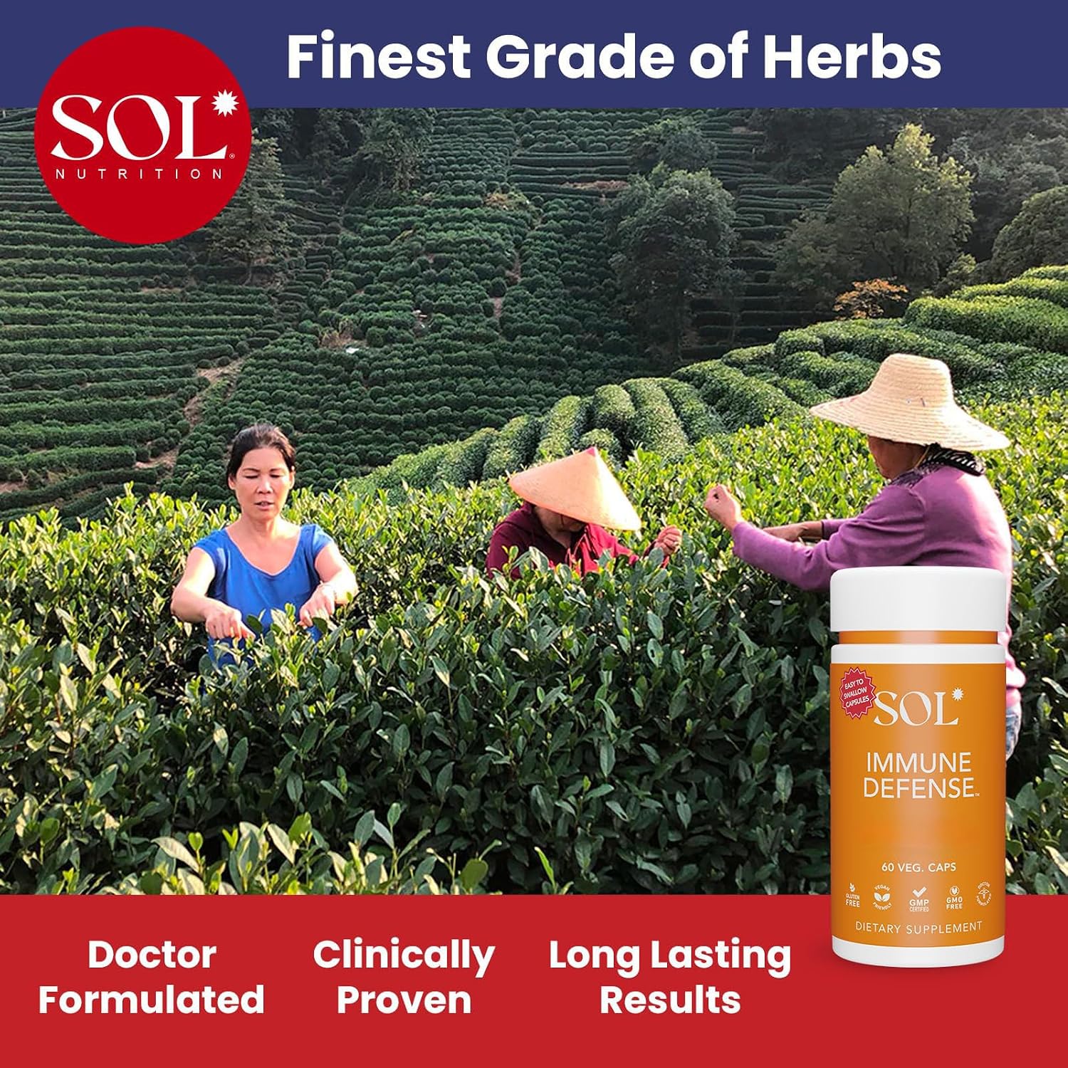 Immune Defense de SOL Nutrition - Suplemento Inmunológico con Astrágalo, Gotu Kola y Andrographis, 60 Cápsulas