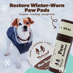 Natural Dog Company Bálsamo Calmante para Patas de Perro - Lote con Lata de 56g y Barra de Viaje