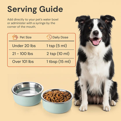 ION* Gut Support For Pets - Suplemento Líquido para la Salud Intestinal de Perros y Gatos - 473 ml – Image 7