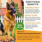 Olewo Zanahorias Originales para Perros – Suplemento de Fibra y Probióticos, 2.5 kg