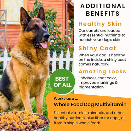 Olewo Zanahorias Originales para Perros – – Fibra dietética: Favorece la salud intestinal y la regularidad. – Image 6