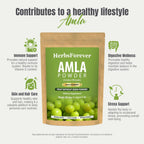 Herbsforever Polvo de Amla | Phyllanthus Emblica | Rico en Vitamina C y Antioxidantes | Vegano, Non-GMO | 230g