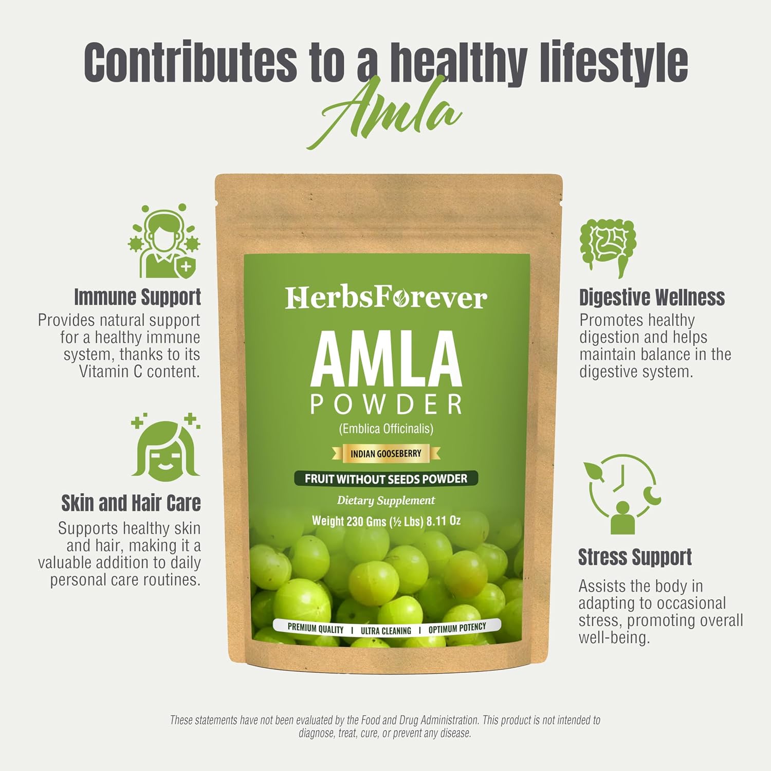 Herbsforever Polvo de Amla | Phyllanthus Emblica | Rico en Vitamina C y Antioxidantes | Vegano, Non-GMO | 230g