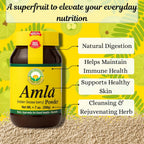 BASIC AYURVEDA Polvo de Amla - 200g (7.05 oz) - 100% Grosella India Natural y Pura