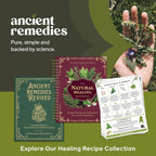 The Natural Healing Handbook: Guía de remedios herbales y recetas naturales