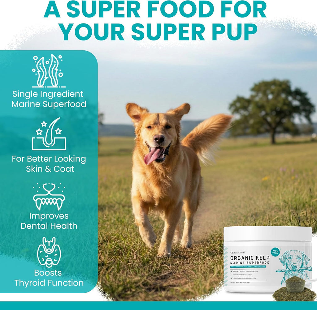 Complemento de Algas Marinas para Perros – Polvo Granulado 454 g con Cuchara de 5 cc