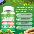 Gominolas de Musgo Marino – Musgo Marino Irlandés con Saúco y Aceite de Semilla Negra – 60 Gominolas Veganas Sabor Manzana Verde