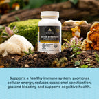 Ancient Nutrition Probióticos Extra Fuertes 50 Mil Millones de UFC, Certificado Orgánico Regenerativo, 60 Cápsulas