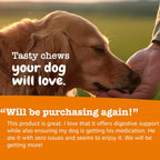 Zesty Paws Pasta de Probióticos para Perros – Sabor a Bacon – con Bacillus subtilis DE111 – 4.2 oz (60 porciones)