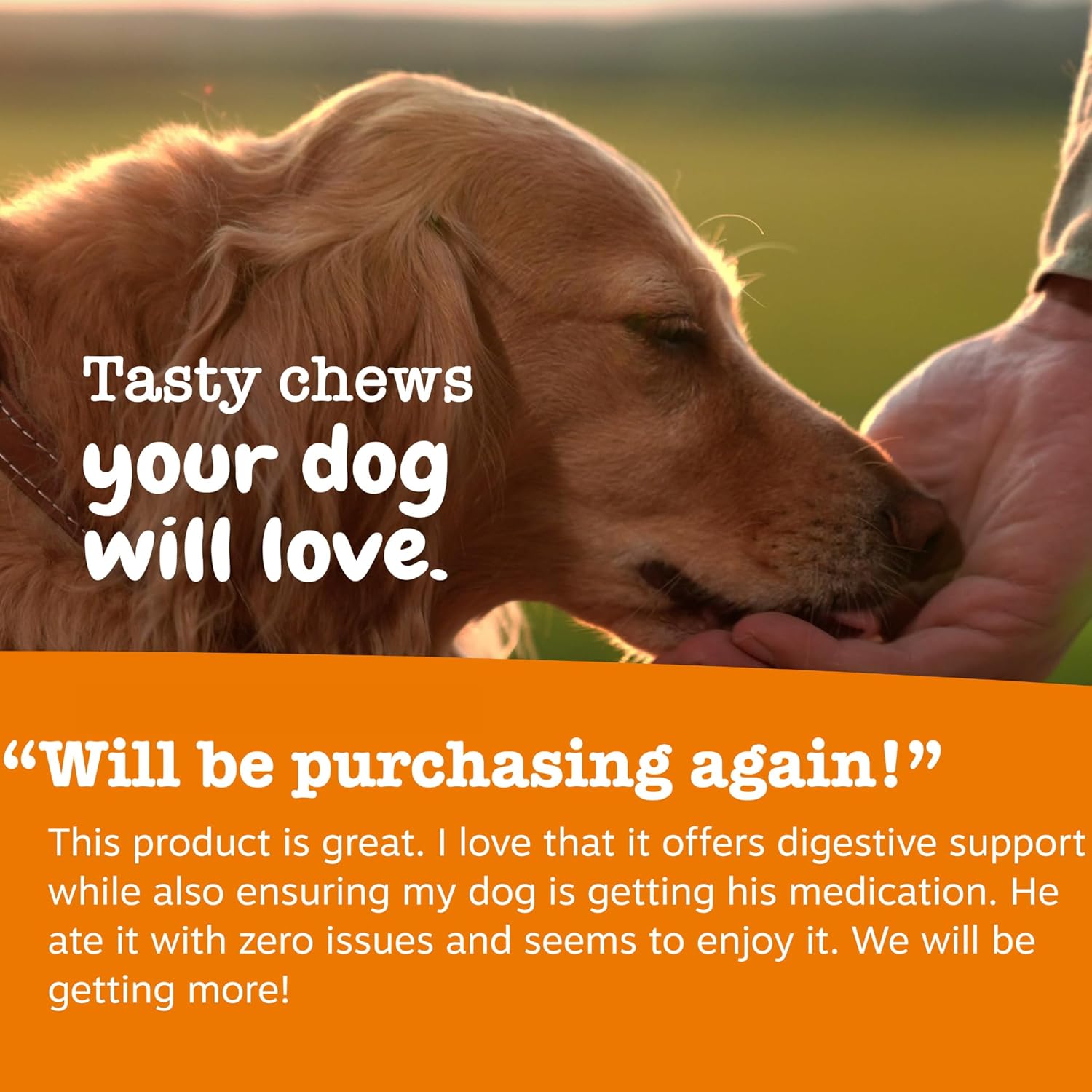 Zesty Paws Pasta de Probióticos para Perros – Sabor a Bacon – con Bacillus subtilis DE111 – 4.2 oz (60 porciones)