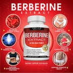 Toplux Berberine 1800mg - Berberina HCL 97% Pureza - 90 Cápsulas Veganas