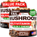 Vet Promise Suplemento de Hongos para Perros - 340 Masticables (2 Pack) - Multivitamínico con Turkey Tail, Lion's Mane, Reishi, Probióticos y Glucosamina