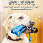 Cápsulas de Arándano Rojo para Perros y Gatos - RX Vitamins - 90 unidades