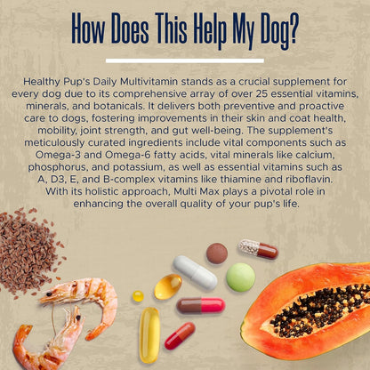 Suplemento multivitamínico para perros - 120 – Probióticos: Ayudan a mantener una flora intestinal equilibrada y – Image 8