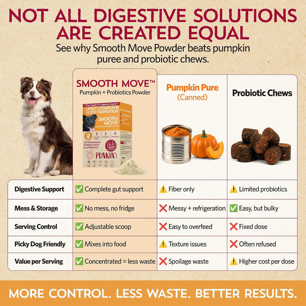 Fidobiotics Probióticos para Perros con Calabaza - 7 Días de Servicio para la Salud Digestiva