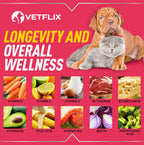 10 en 1 Vitaminas Líquidas para Perros y Gatos, 2 Fl Oz | Glucosamina y Multivitamínico