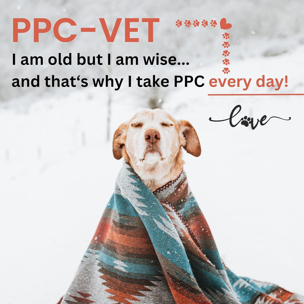 Nutrasal PPC-Vet Fosfatidilcolina Polinsaturada - Suplemento Hepático y Cerebral para Perros y Gatos - 1000 mg/5mL - Líquido Liposomal 236 ml