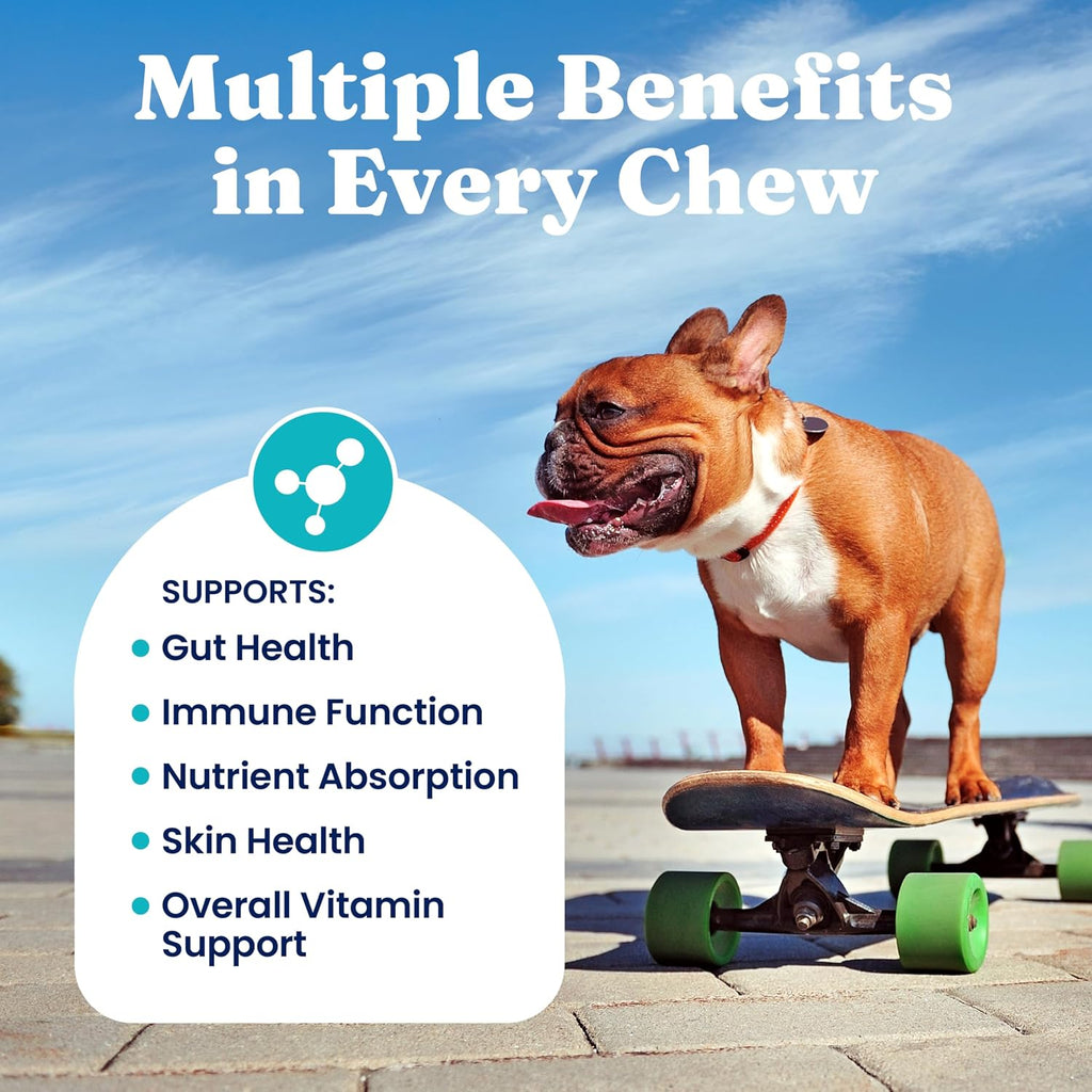 Solid Gold Multivitamínico para Perros - Gomitas Blandas - Apoyo Completo para Corazón, Sistema Inmunitario, Cerebro, Piel, Pelaje y Salud Digestiva con Vitamina C, B12, Probióticos y Antioxidantes - Sabor a Bacon 120 unidades