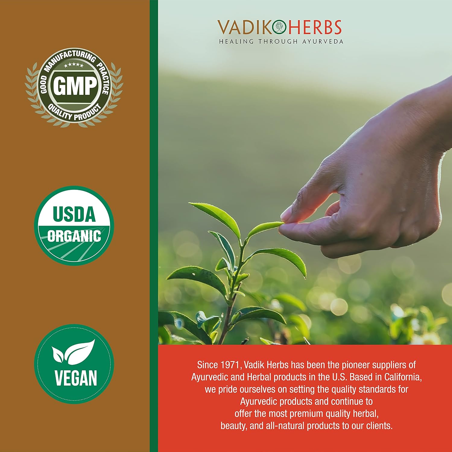 Vadik Herbs Kutaj (Holarrhena Antidysenterica) - 100 Cápsulas Vegetales - Complemento para el Soporte Digestivo