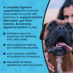 Animal Essentials Plant Enzyme & Probiotics - Probióticos y Enzimas Digestivas para Perros y Gatos - 99 g (3.5 oz)