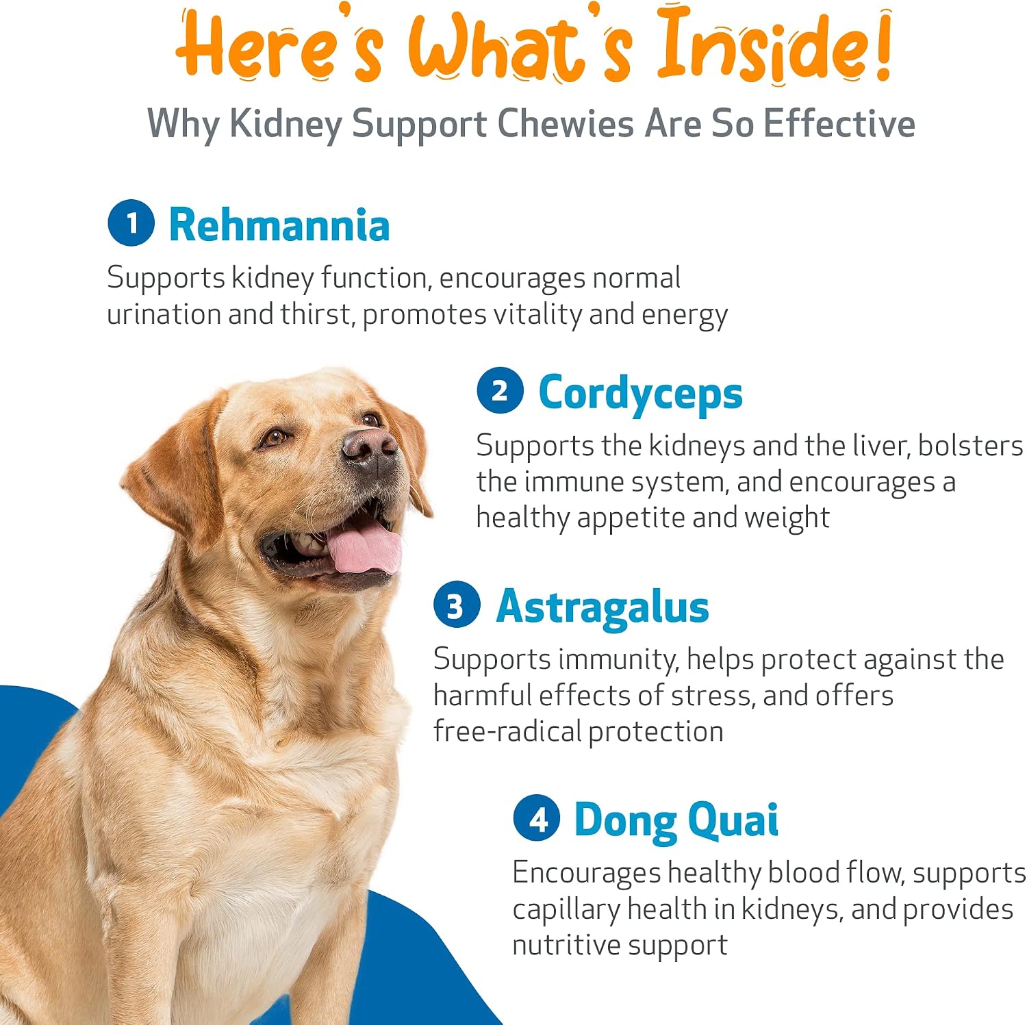 Pet Wellbeing Kidney Support Chewies para Perros - Apoyo Renal - 90 Masticables Blandas