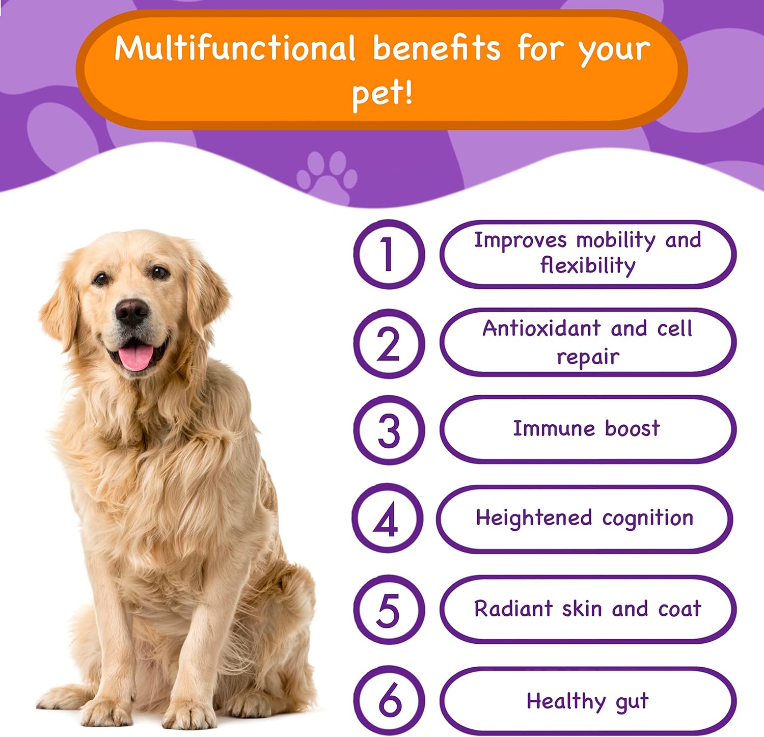 Pawpuk Paws Suplemento Multifuncional para Perros con Silimarina, Mejillón de Labio Verde, Glucosamina, MSM, Aceite de Salmón, Probióticos, Co-Q10, NMN