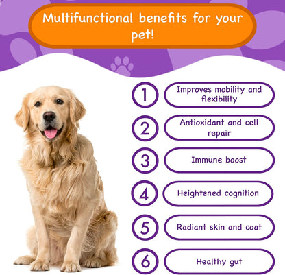 Pawpuk Paws Suplemento Multifuncional para Perros con Silimarina, Mejillón de Labio Verde, Glucosamina, MSM, Aceite de – Image 2